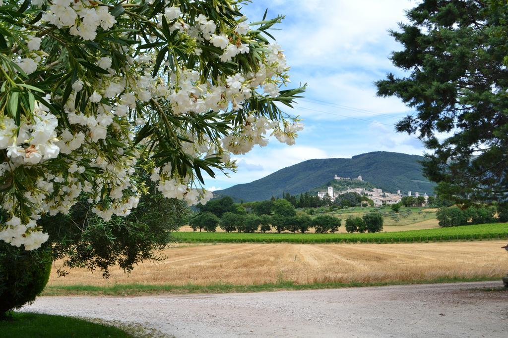 Camere I Monelli Assisi Exterior photo