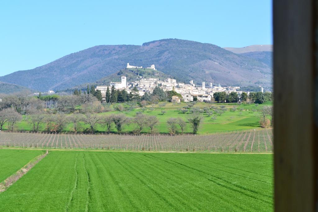 Camere I Monelli Assisi Exterior photo